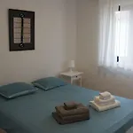 Divine Dalmatia 2