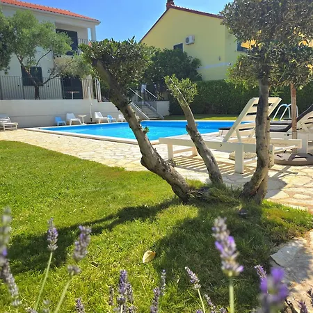 Apartament Divine Dalmatia 2
